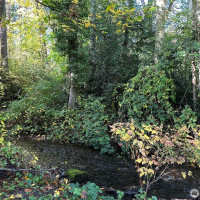 3658 NW Munson Street, Silverdale, WA 98383