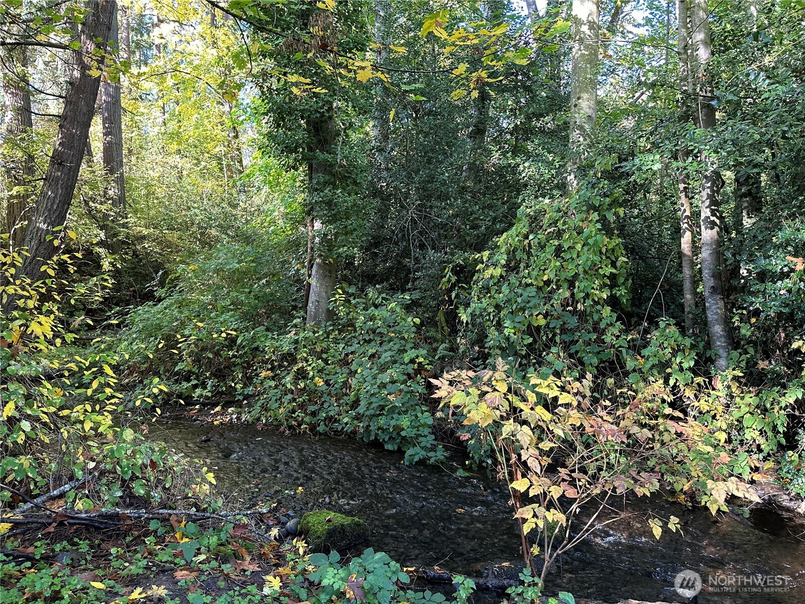 3658 NW Munson Street, Silverdale, WA 98383