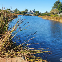 332 Cockle Street SW, Ocean Shores, WA 98569