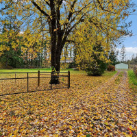 1878 Little Hanaford Road, Centralia, WA 98531