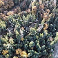 5791 N Lake Cushman Road, Hoodsport, WA 98548