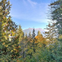 5791 N Lake Cushman Road, Hoodsport, WA 98548