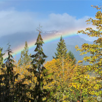 5791 N Lake Cushman Road, Hoodsport, WA 98548