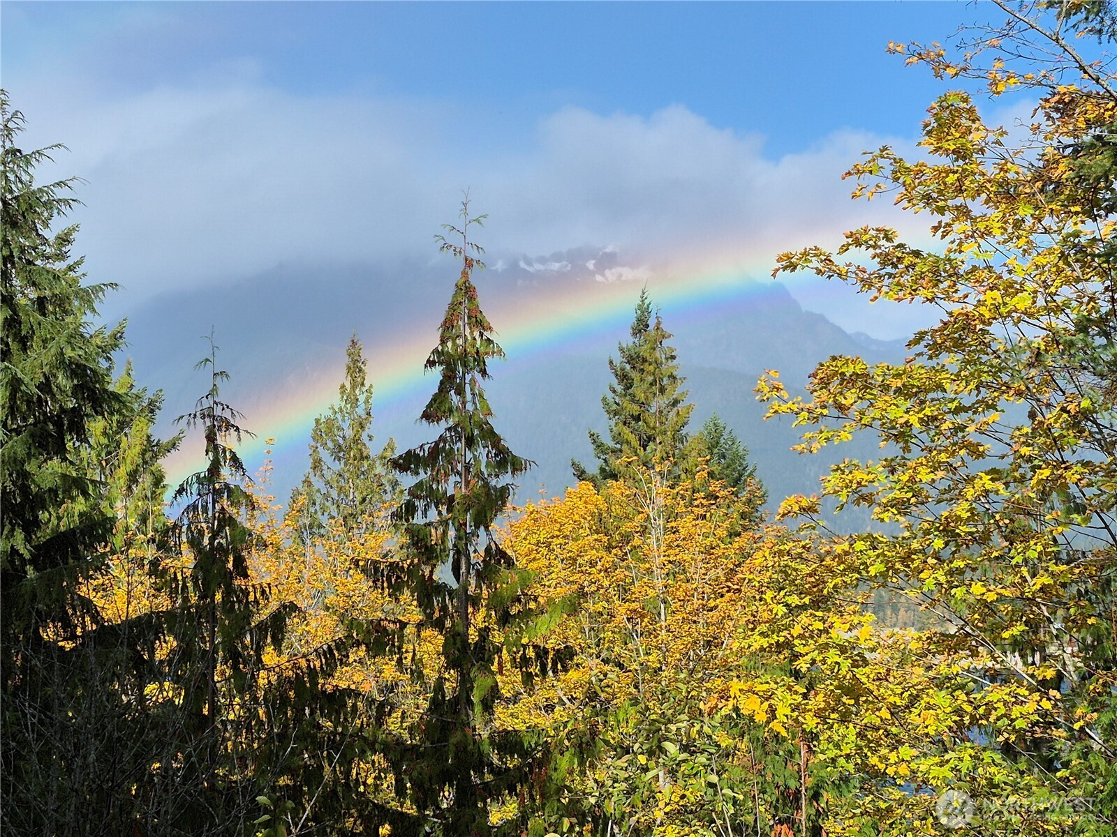 5791 N Lake Cushman Road, Hoodsport, WA 98548