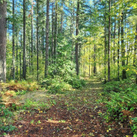 1216 Kaiser Road SW, Olympia, WA 98512