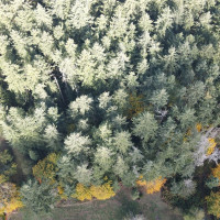 1216 Kaiser Road SW, Olympia, WA 98512