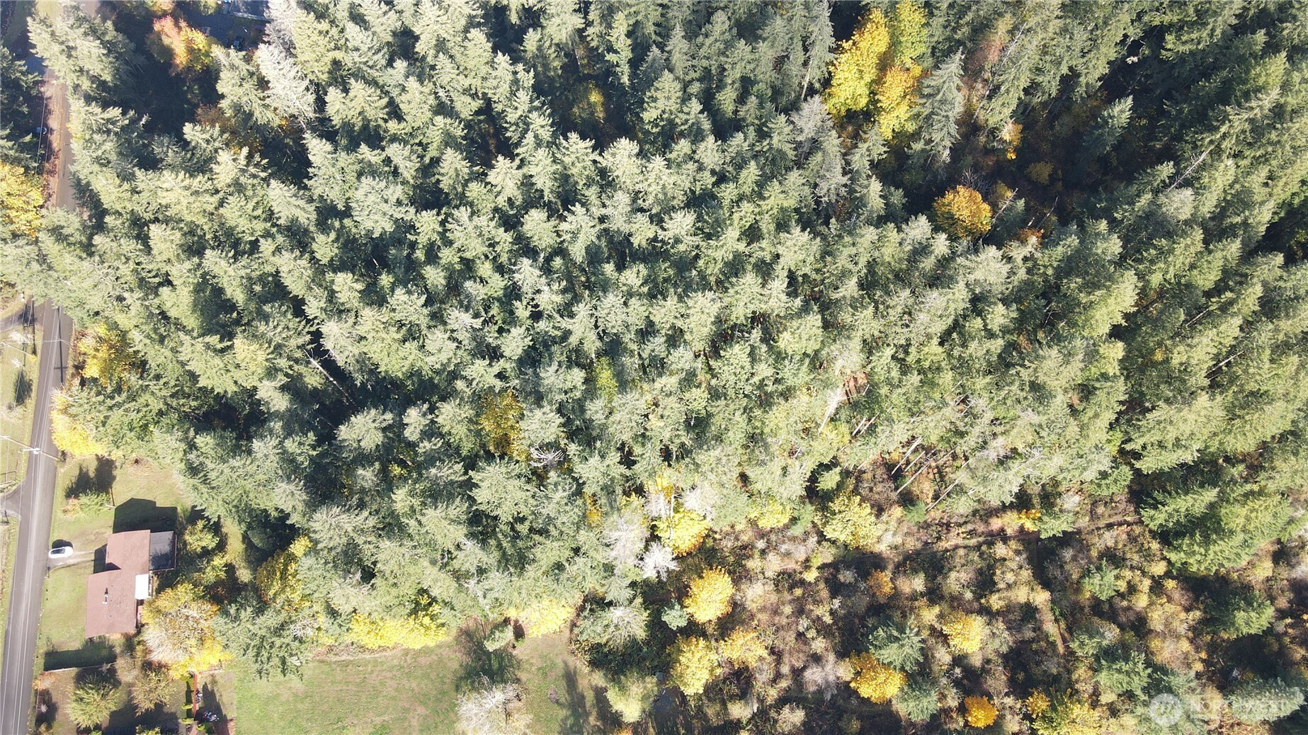 1216 Kaiser Road SW, Olympia, WA 98512