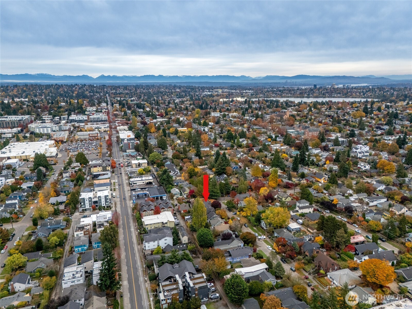 608 NW 84th Street, Seattle, WA 98117