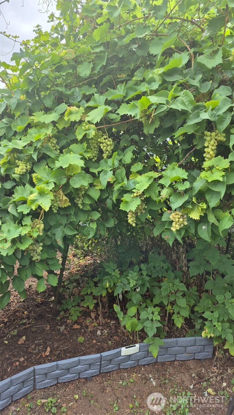 2323 Olympia Avenue NE, Olympia, WA 98506