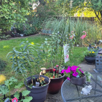 2323 Olympia Avenue NE, Olympia, WA 98506