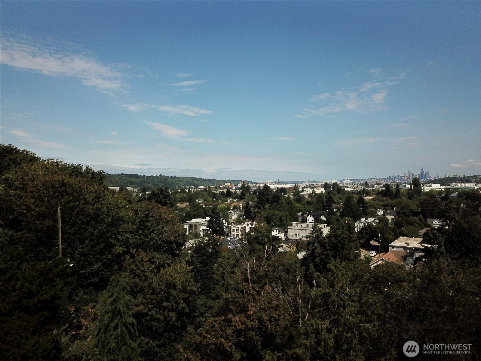 1211 S Trenton Street, Seattle, WA 98108