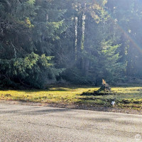 1 SE Salmonberry Road, Port Orchard, WA 98366