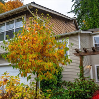 2701 Cody Circle, Bellingham, WA 98225