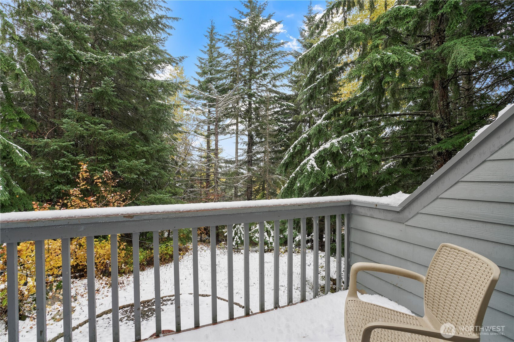180 Chomonix Place, Snoqualmie Pass, WA 98068
