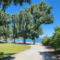 1 Lakeside 702-G, Manson, WA 98831