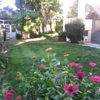 1555 Swartout Road, Manson, WA 98831