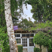 1555 Swartout Road, Manson, WA 98831