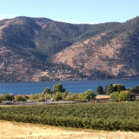 1555 Swartout Road, Manson, WA 98831