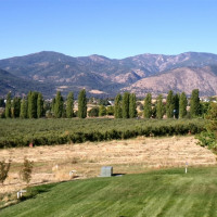 1555 Swartout Road, Manson, WA 98831