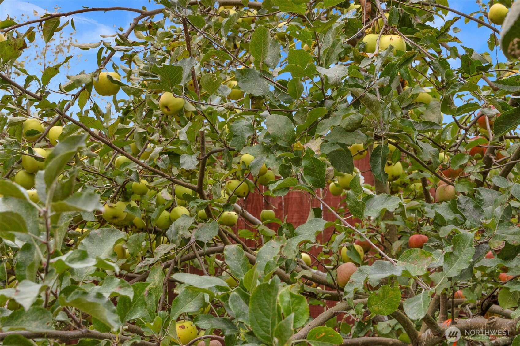 3914 82nd Avenue NE, Marysville, WA 98270