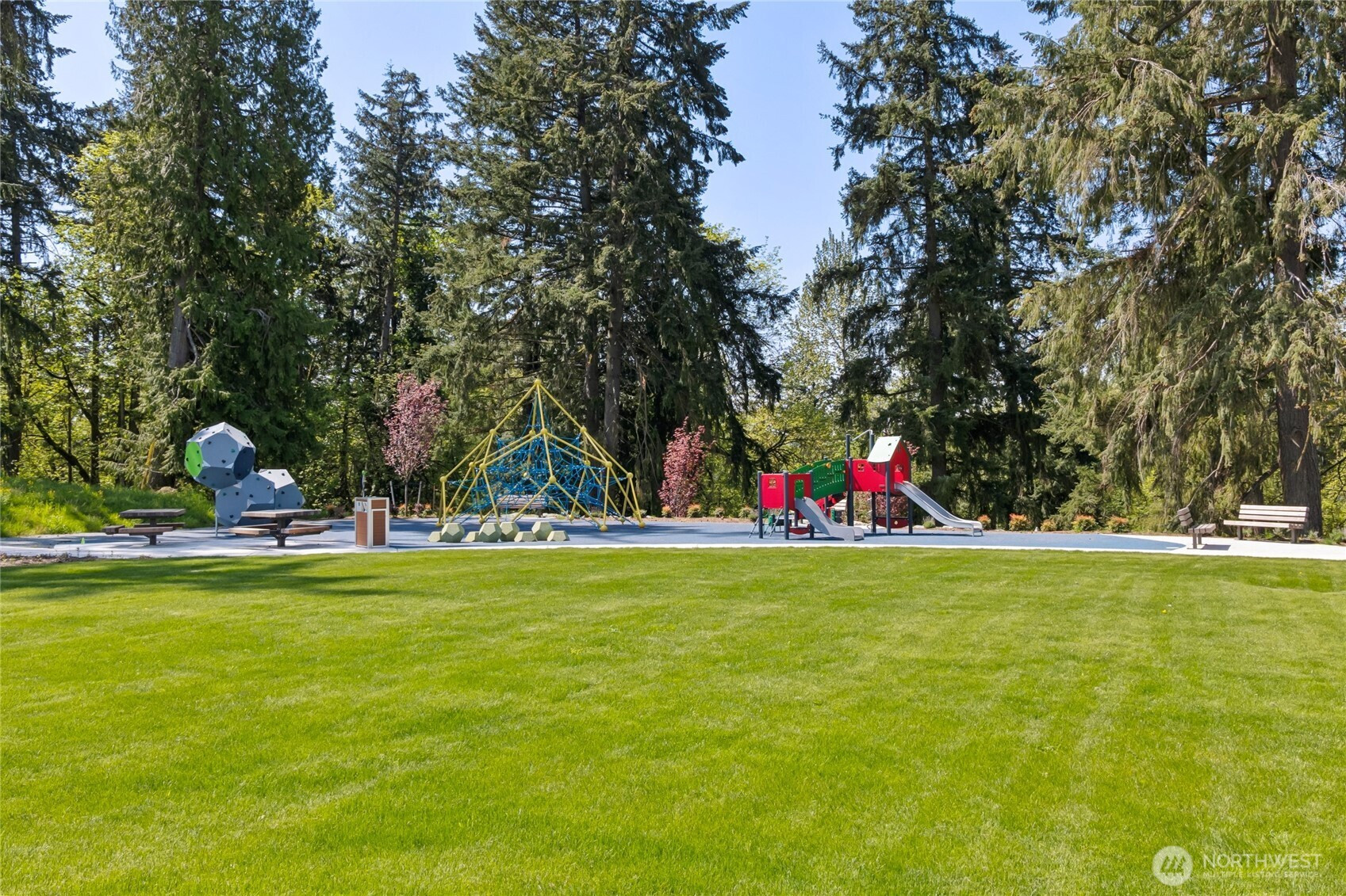 11567 SE 84th Street, Newcastle, WA 98056