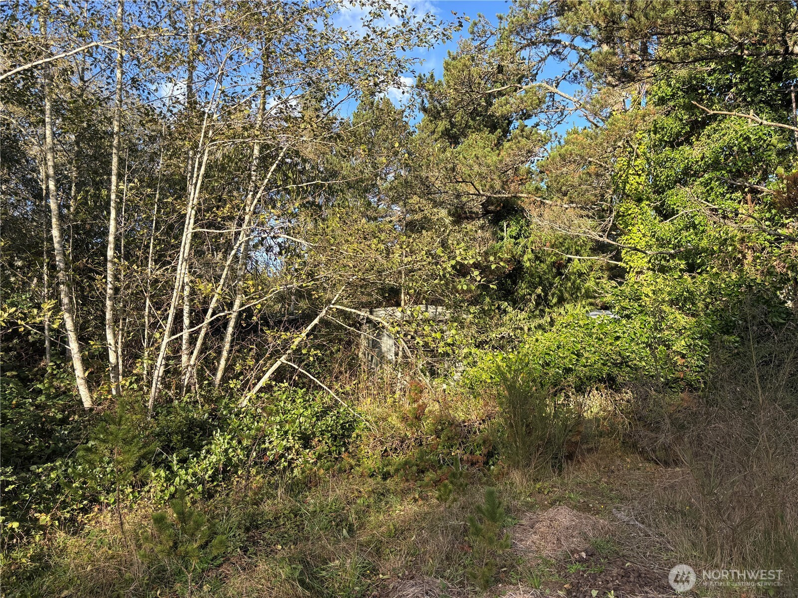 0 WA-105, Grayland, WA 98541