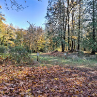 0 XXX E Dalby Road, Union, WA 98592