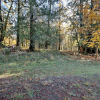 0 XXX E Dalby Road, Union, WA 98592