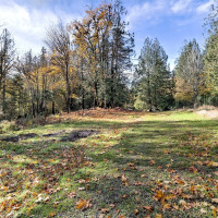 0 XXX E Dalby Road, Union, WA 98592