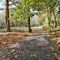 0 XXX E Dalby Road, Union, WA 98592