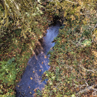 0 XXX E Dalby Road, Union, WA 98592