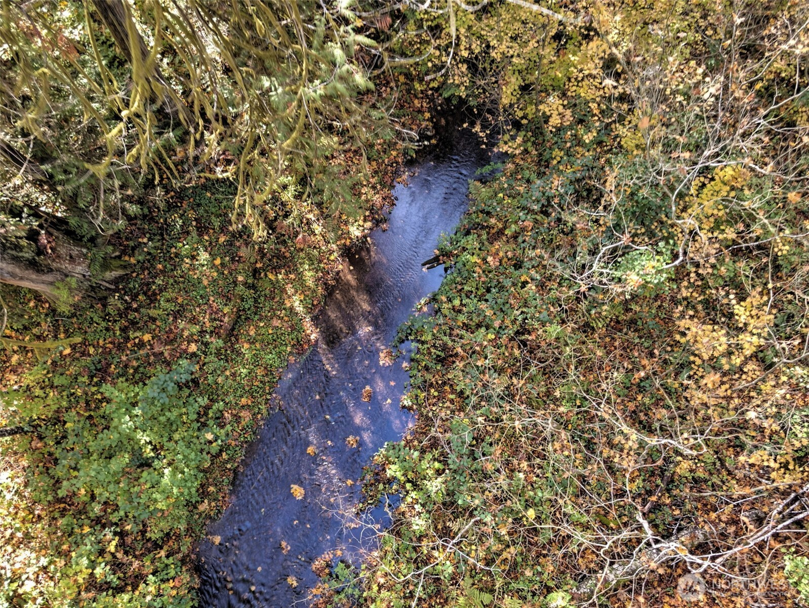 0 XXX E Dalby Road, Union, WA 98592