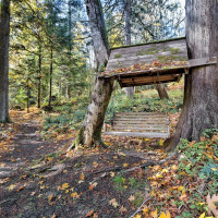 0 XXX E Dalby Road, Union, WA 98592