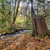 0 XXX E Dalby Road, Union, WA 98592