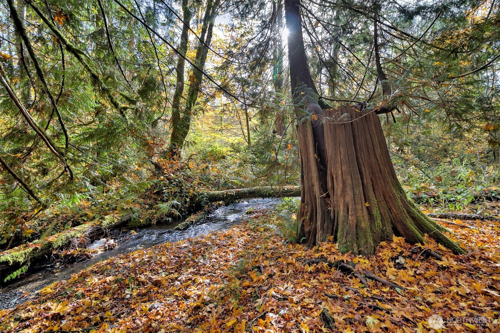 0 XXX E Dalby Road, Union, WA 98592