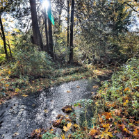 0 XXX E Dalby Road, Union, WA 98592