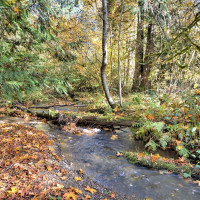 0 XXX E Dalby Road, Union, WA 98592