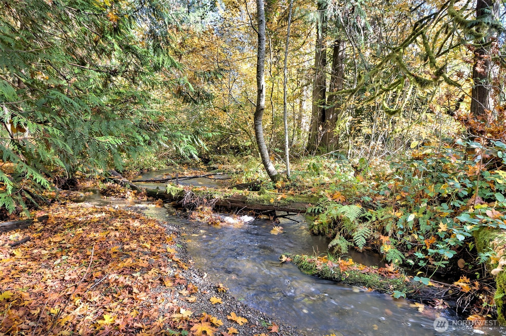 0 XXX E Dalby Road, Union, WA 98592