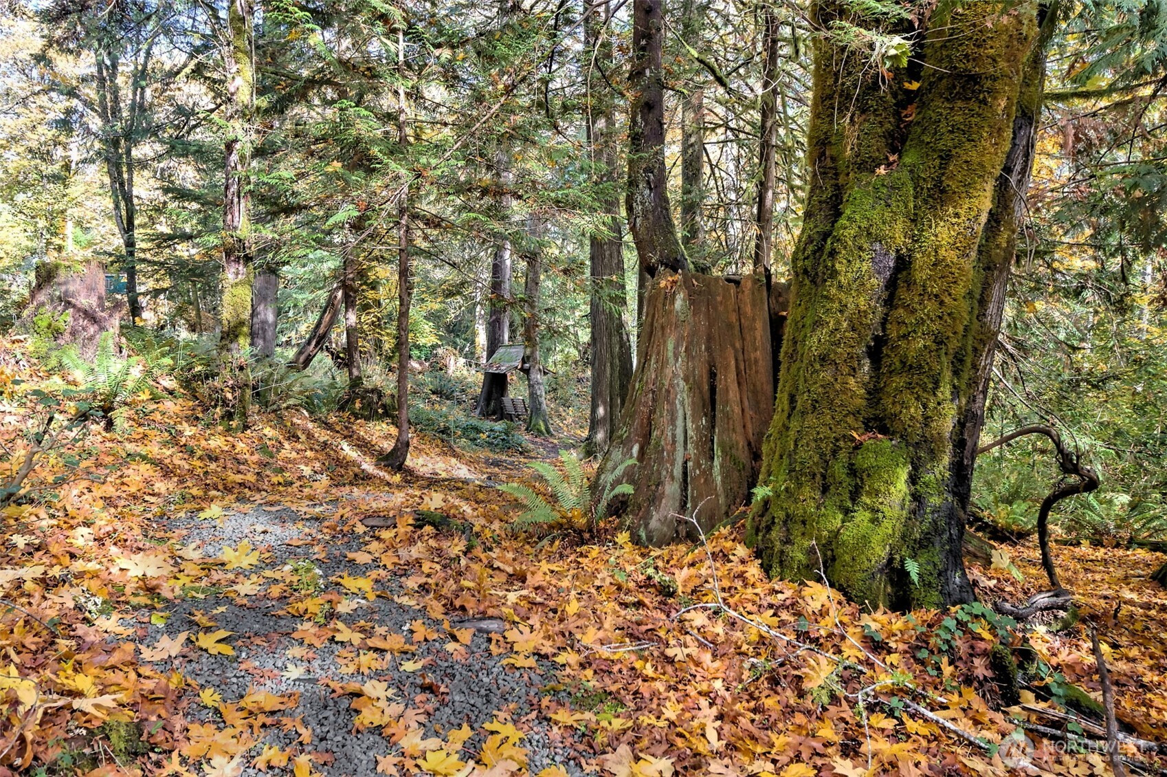 0 XXX E Dalby Road, Union, WA 98592