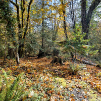 0 XXX E Dalby Road, Union, WA 98592