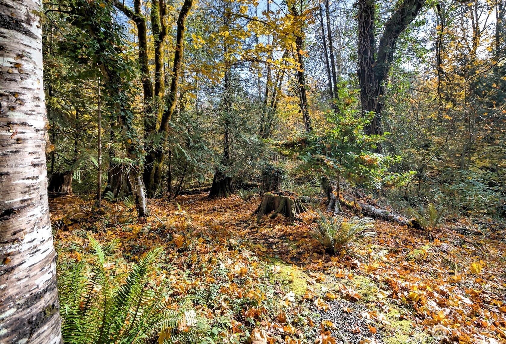 0 XXX E Dalby Road, Union, WA 98592