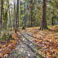 0 XXX E Dalby Road, Union, WA 98592