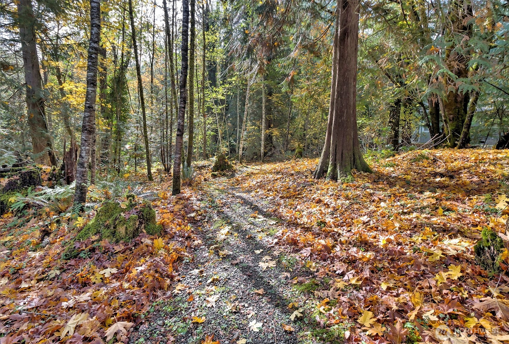 0 XXX E Dalby Road, Union, WA 98592