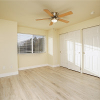 3709 S Park Avenue, Tacoma, WA 98418