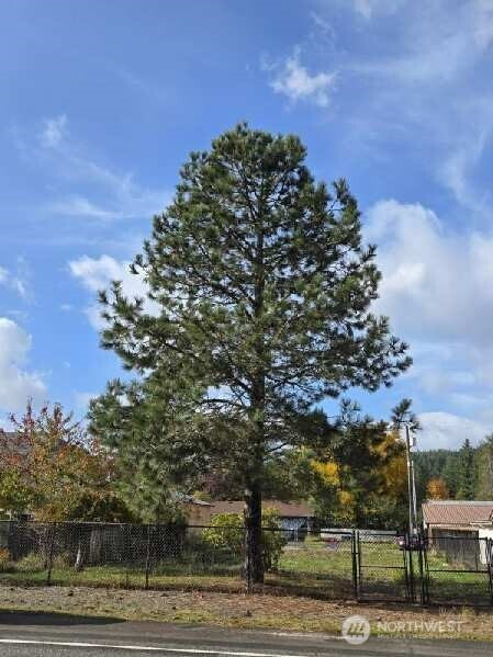 505 Morse Street, Ryderwood, WA 98581