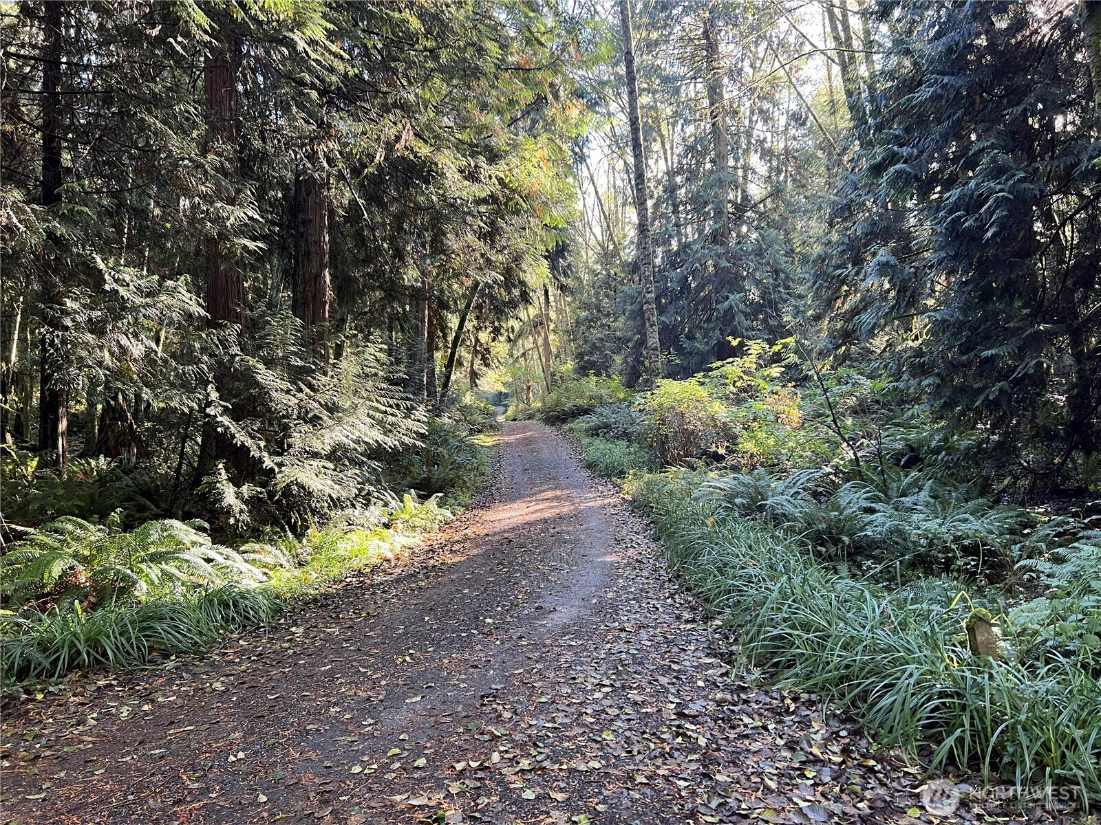 5249 Fallen Leaf LN, Langley, WA 98260