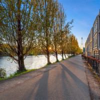 3606 Francis Avenue N, Seattle, WA 98103