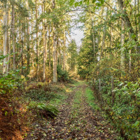 62 Pierson Lane, Sequim, WA 98382