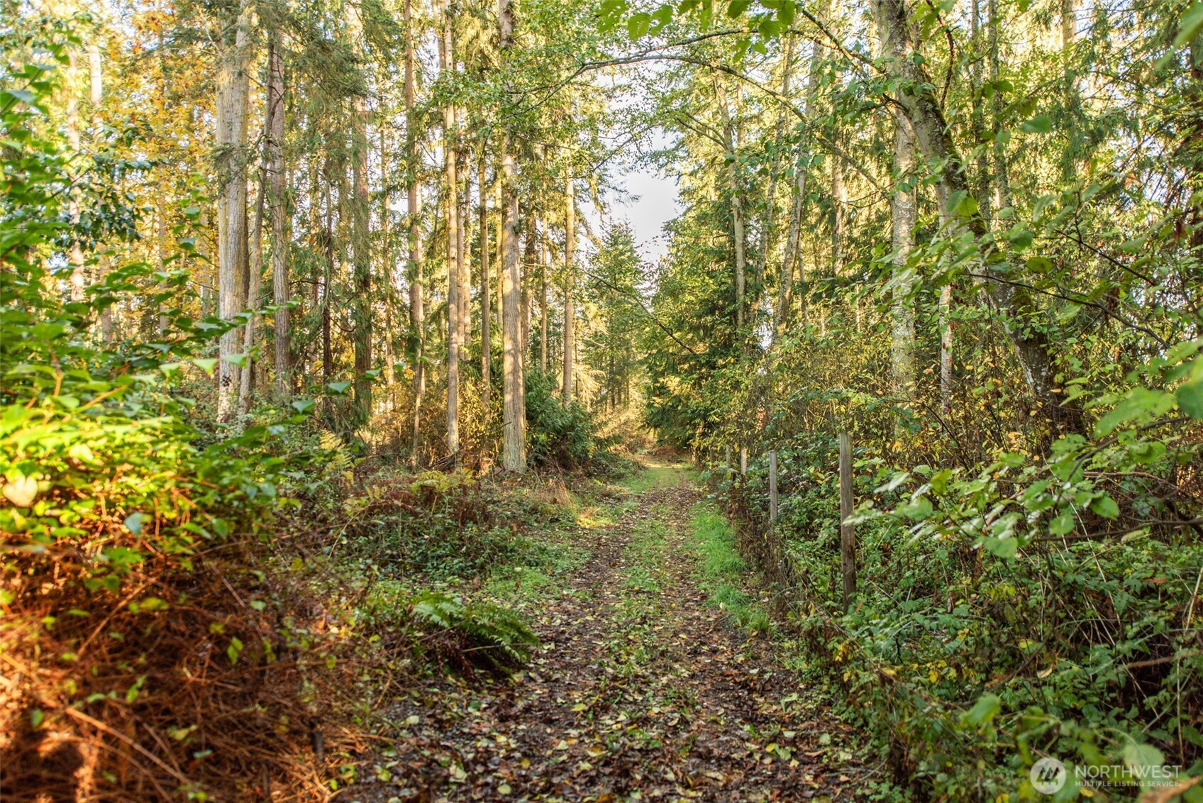 62 Pierson Lane, Sequim, WA 98382