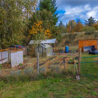 10125 237th Street Ct E, Graham, WA 98338